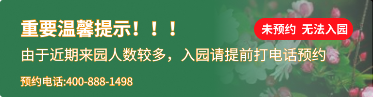 九公山长城纪念林