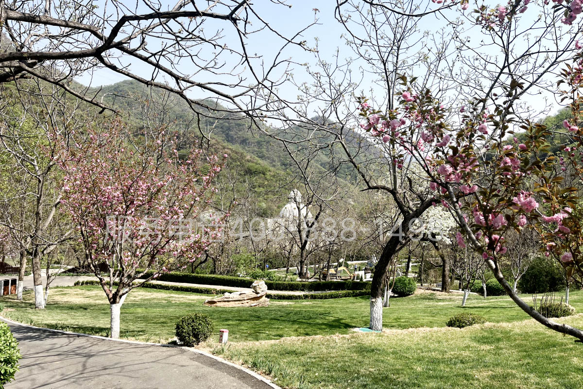 九公山公墓环境图