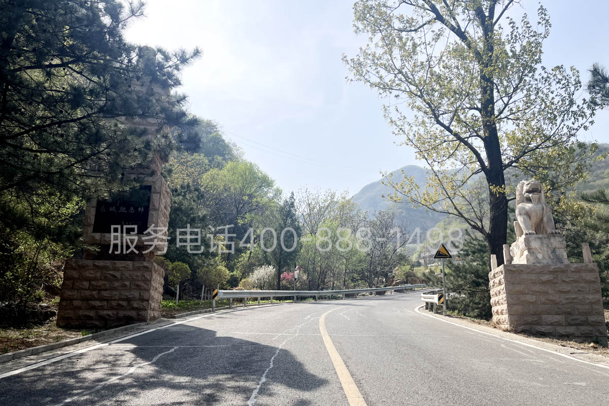 九公山公墓环境图